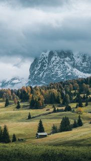 Nature Wallpapers Free Download – Best Nature Wallpapers for Mobile (92)