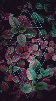 Neon Wallpapers Free Download – Best Light Wallpapers for Mobile (13)