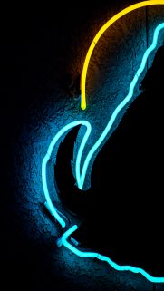 Neon Wallpapers Free Download – Best Light Wallpapers for Mobile (40)