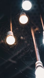 Neon Wallpapers Free Download – Best Light Wallpapers for Mobile (43)