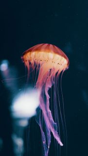 Neon Wallpapers Free Download – Best Light Wallpapers for Mobile (5)