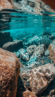 Sea Wallpapers Free Download – Best Beach Wallpapers for Mobile 18