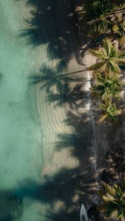 Sea Wallpapers Free Download – Best Beach Wallpapers for Mobile 19