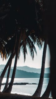 Sea Wallpapers Free Download – Best Beach Wallpapers for Mobile 21