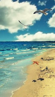 Sea Wallpapers Free Download – Best Beach Wallpapers for Mobile 23