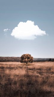 Sky Wallpapers Free Download – Best Sky Stars Wallpapers for Mobile (1)