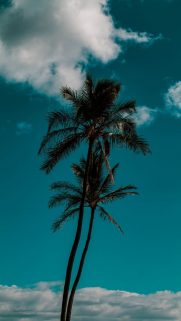 Sky Wallpapers Free Download – Best Sky Stars Wallpapers for Mobile (6)