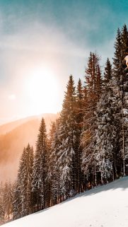 Snow Wallpapers Free Download – Best Winter Wallpapers for Mobile (11)
