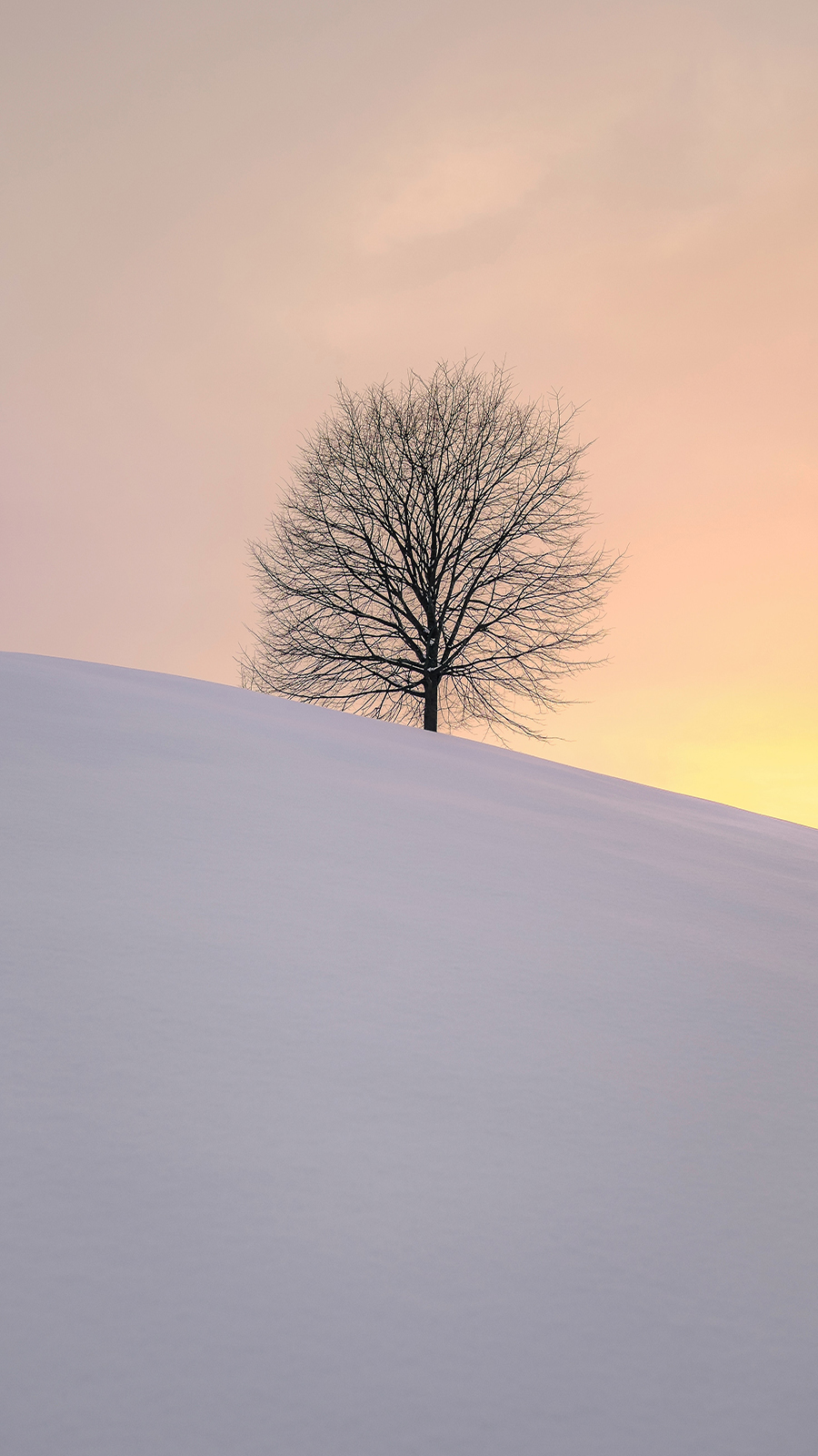 Snow Wallpapers Free Download – Best Winter Wallpapers for Mobile (12)
