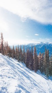 Snow Wallpapers Free Download – Best Winter Wallpapers for Mobile (18)