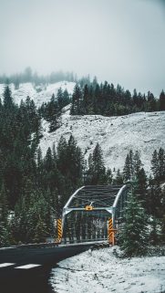 Snow Wallpapers Free Download – Best Winter Wallpapers for Mobile (19)