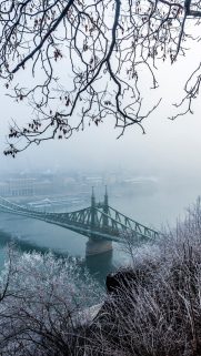 Snow Wallpapers Free Download – Best Winter Wallpapers for Mobile (3)