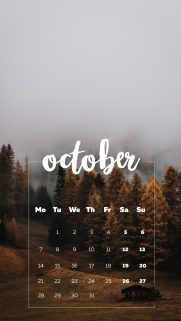 Text Wallpapers Free Download – Best Cool Text Wallpapers for Mobile (10)