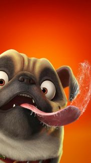 Cartoon Dog Wallpapers for Phone Free Download – Best Wallapers