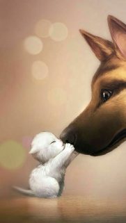 Cute Cartoon Wallpapers For Phone – Best Wallpapers