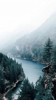 Latest Nature Wallpapers For Phone Free Downlaod – Best Wallpapers