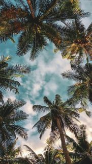 Nature HD Wallpapers Free Download – Best Wallpapers