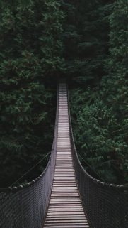 Nature Wallpapers Free Download – Best Wallpapers