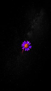 Phone HD Wallpapers Free Download – Android Phone Wallpaper