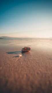 Phone Sea Wallpapers Free Download – Sea Phone Wallpaper