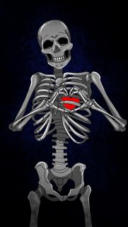 Skeleton Wallpapers Free Download For Phone – Best Wallpapers