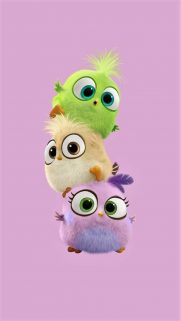 Top Cute Wallpapers Free Download – Best Wallpapers