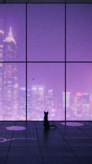 iPhone HD Wallpapers Free Download – Best iPhone Wallpaper