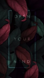 Android Phone Wallpaper – Free Download Android Phone Wallpapers