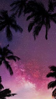 Android Phone Wallpapers – Nature Download Android Phone Wallpaper
