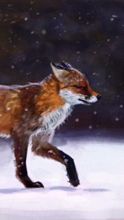 SmartPhone Animals Wallpapers – SmartPhone HD Wallpaper Free Download
