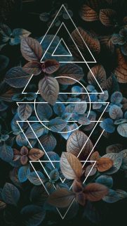 iPhone 4K Wallpapers – Free Download 4K Wallpaper
