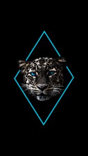Samsung Galaxy A01 Wallpapers – Samsung Wallpapers Free Download