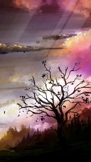 Samsung Galaxy A01 Wallpapers – Samsung Wallpapers Free Download