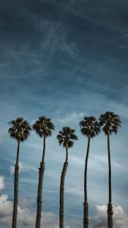 Samsung Galaxy A3 2020 Wallpapers – Samsung Wallpaper Free Download