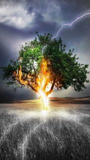 Samsung Phone HD Wallpapers – Samsung Wallpaper
