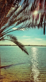 Best HD Wallpapers