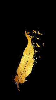 Best HD Wallpapers