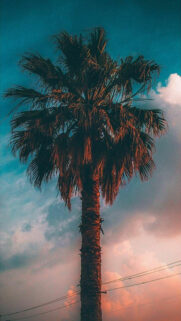 Best HD Wallpapers