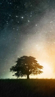 Best HD Wallpapers