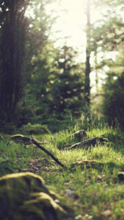 Best HD Wallpapers