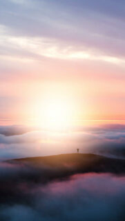 Best Wallpapers