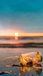 Best Wallpapers