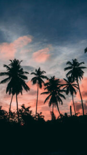 Best Wallpapers