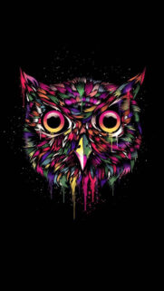 Best Wallpapers