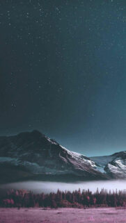 Best Wallpapers