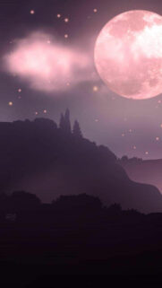 Best Wallpapers