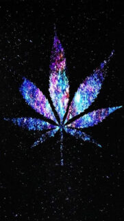 Best Wallpapers