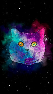 Best Wallpapers