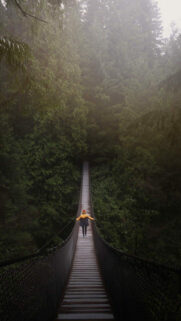 Best Wallpapers