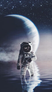 Best Wallpapers